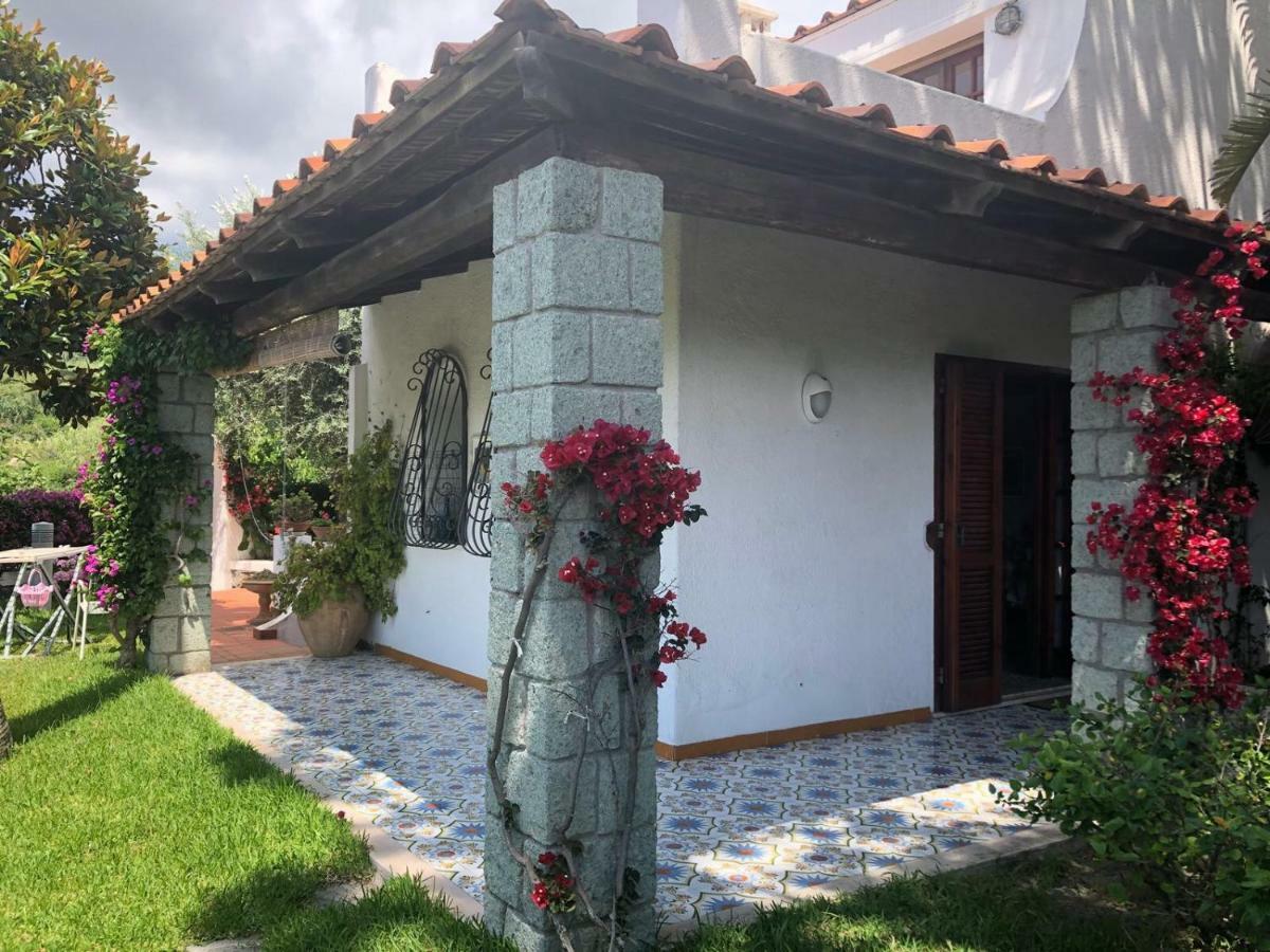 Villa Moma Giardino, Tennis E Piscina Panoramica Искья Экстерьер фото